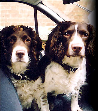 Charlie and Izzi